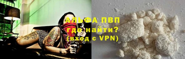 a pvp Магас