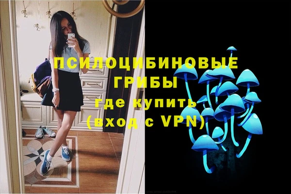a pvp Магас