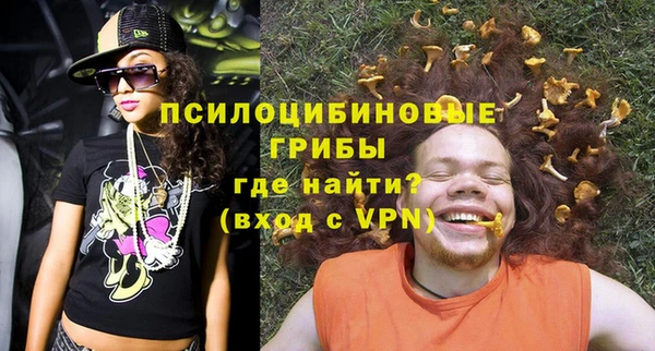 мдпв Майский