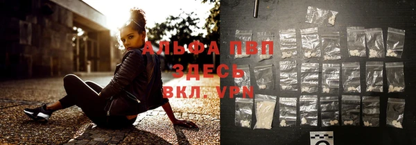 a pvp Магас