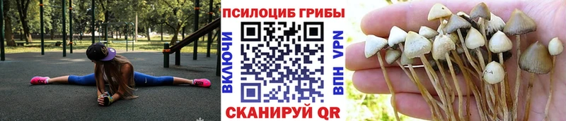Купить  Долгопрудный  Псилоцибиновые грибы MAGIC MUSHROOMS 